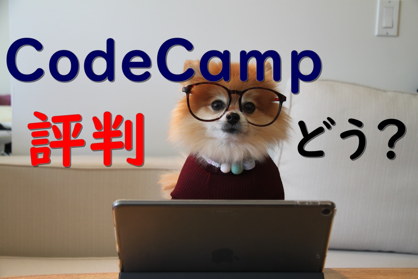 Codecampの評判を検証 有名企業が採用するそのワケとは ストレスフリーランス